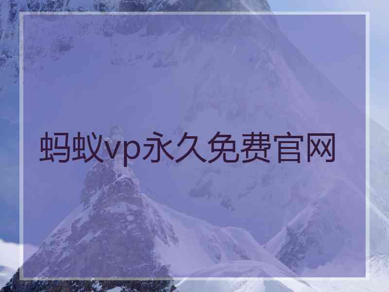 蚂蚁vp永久免费官网