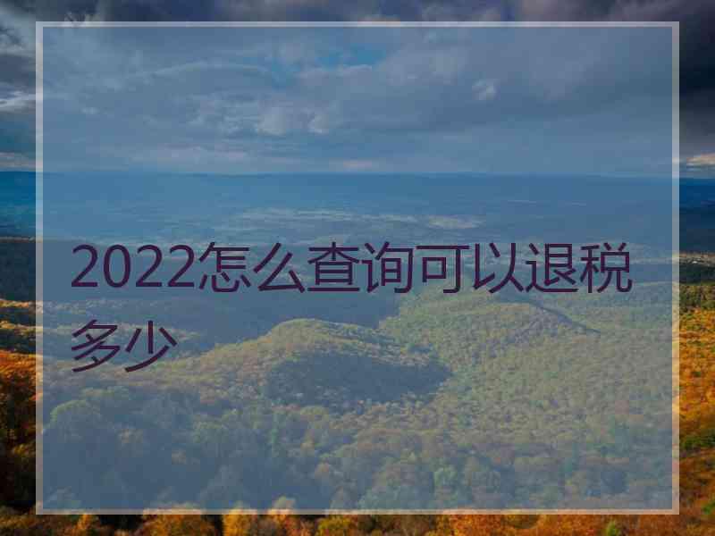 2022怎么查询可以退税多少