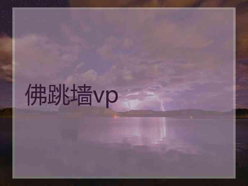 佛跳墙vp