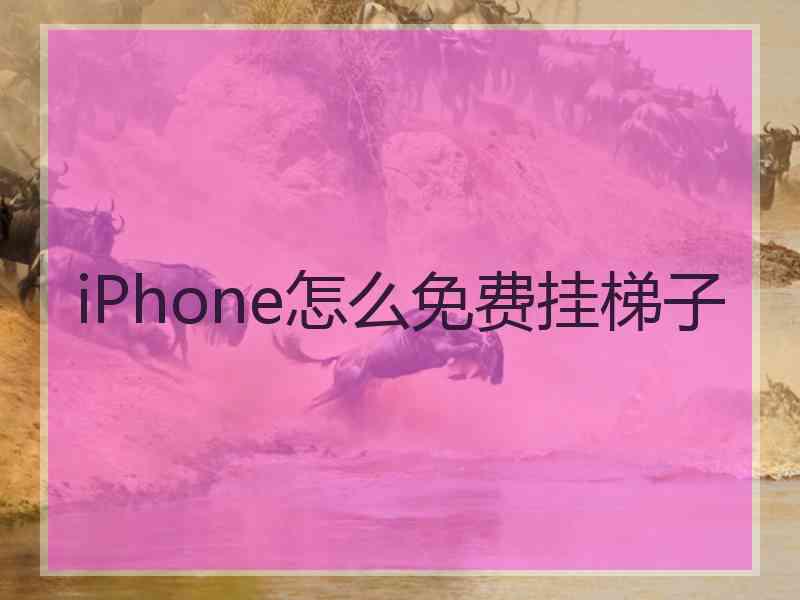 iPhone怎么免费挂梯子