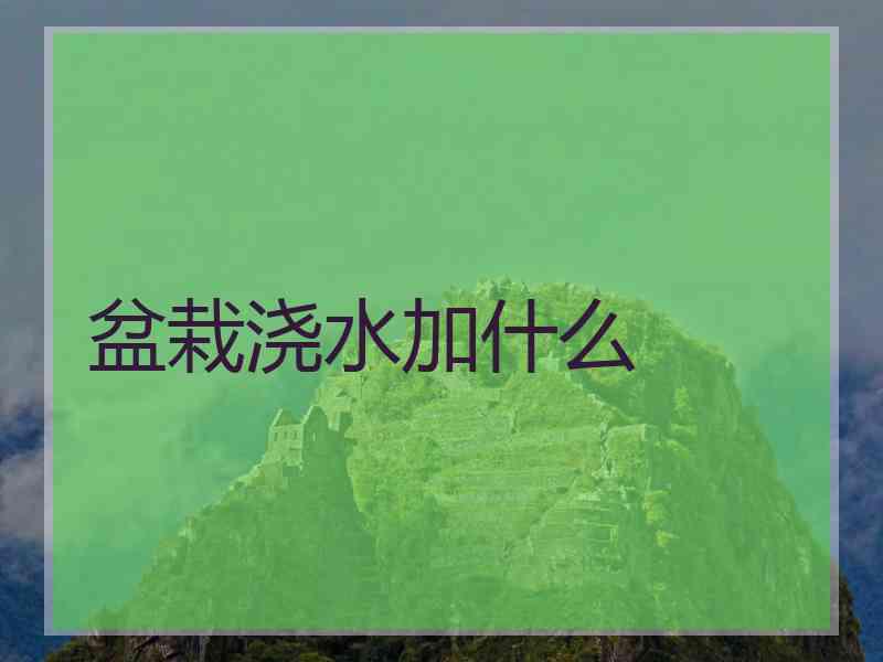 盆栽浇水加什么