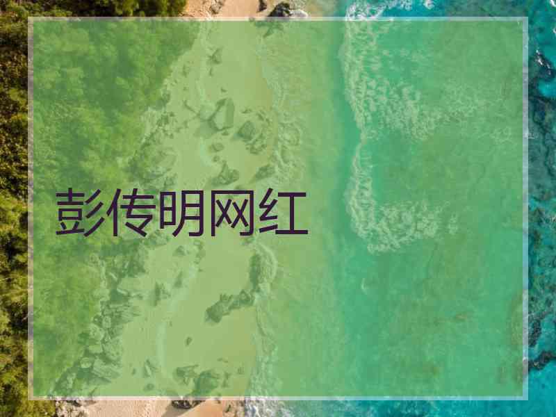 彭传明网红