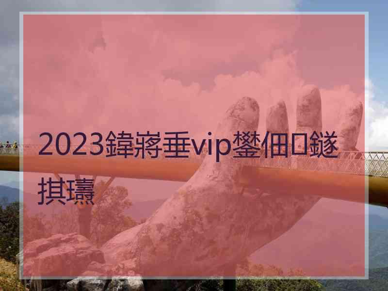 2023鍏嶈垂vip鐢佃鐩掑瓙