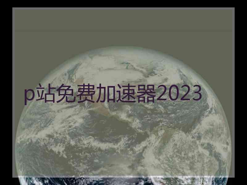 p站免费加速器2023