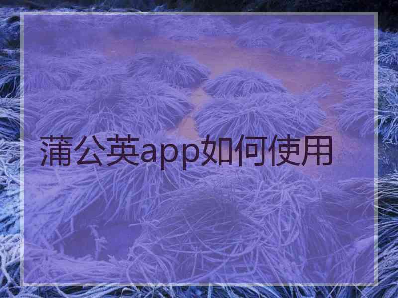 蒲公英app如何使用