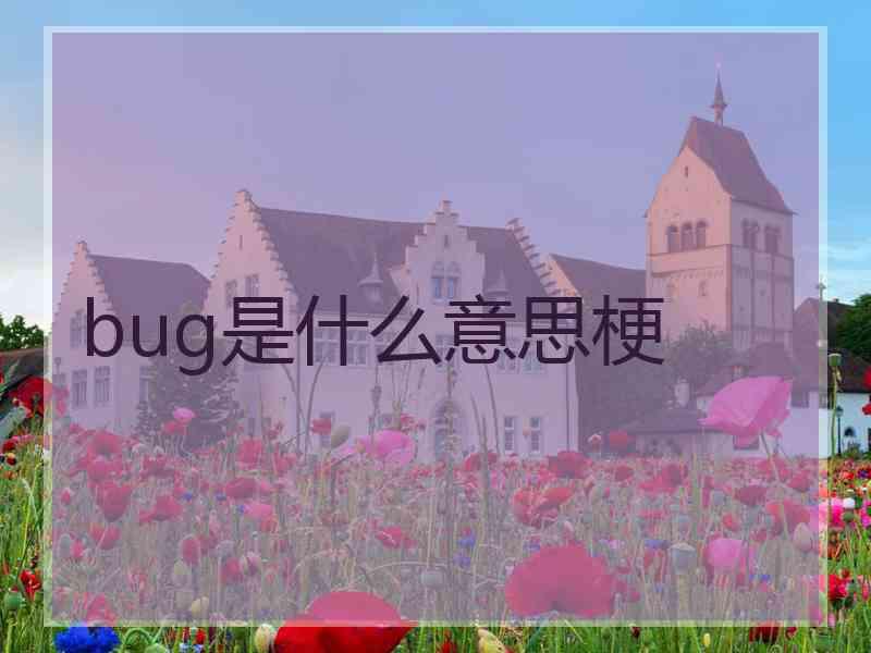 bug是什么意思梗