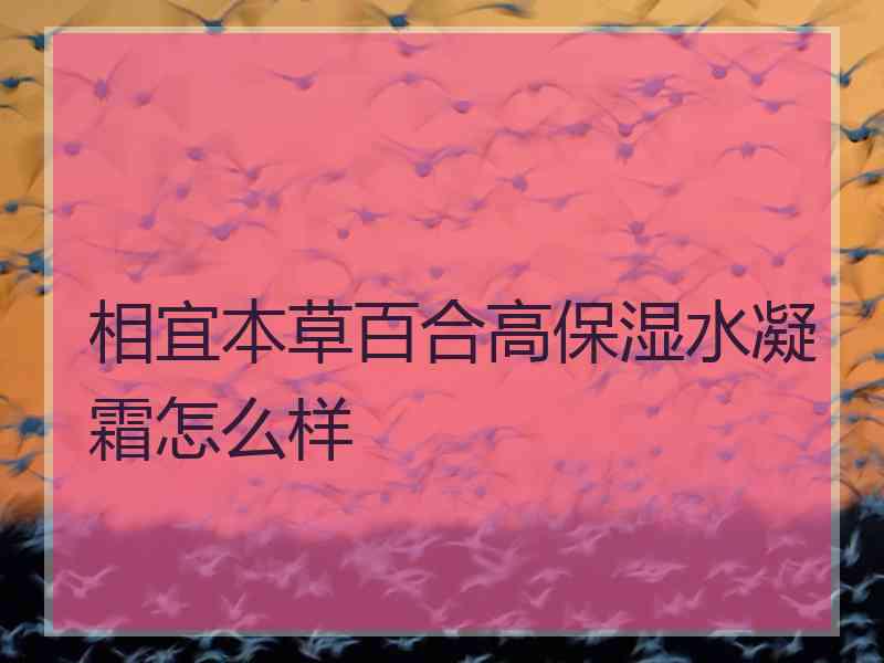 相宜本草百合高保湿水凝霜怎么样