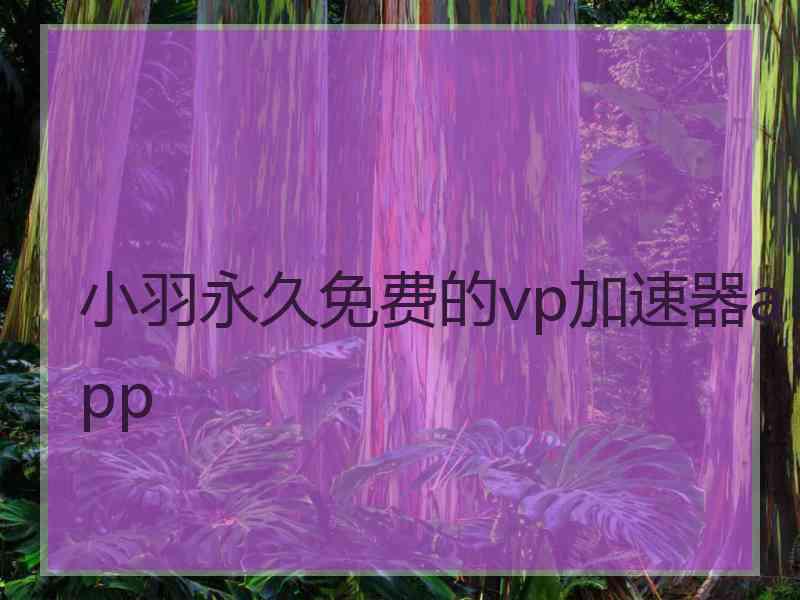 小羽永久免费的vp加速器app