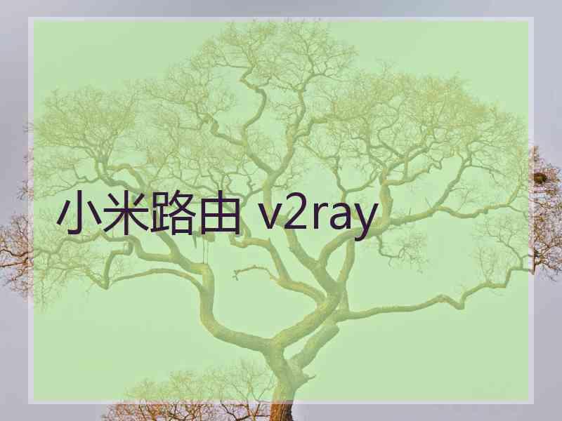 小米路由 v2ray