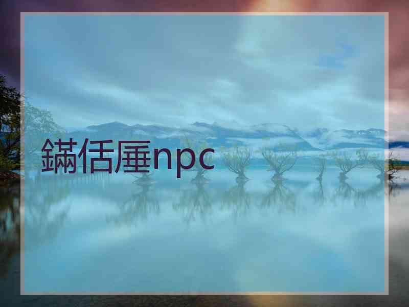 鏋佸厜npc