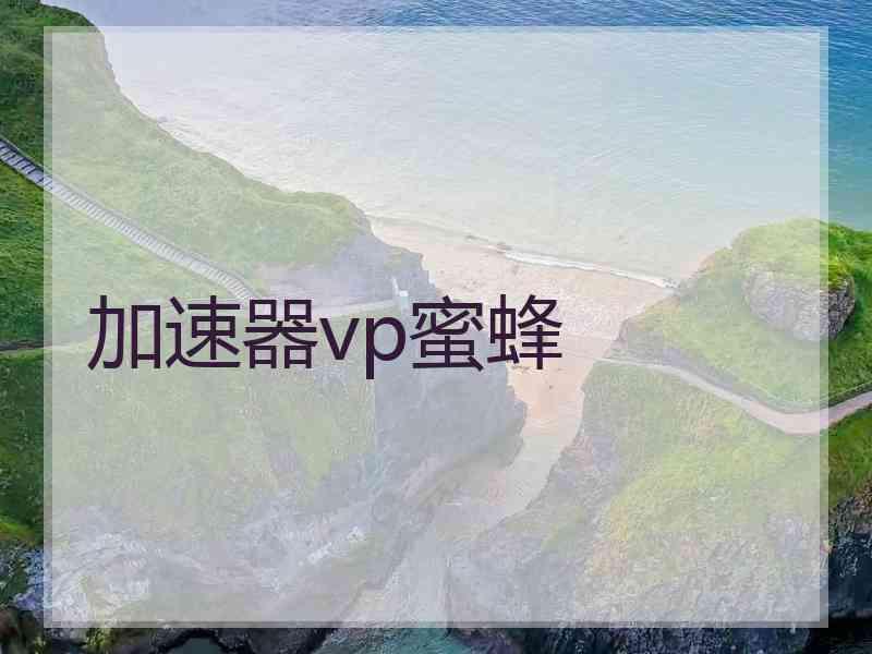 加速器vp蜜蜂