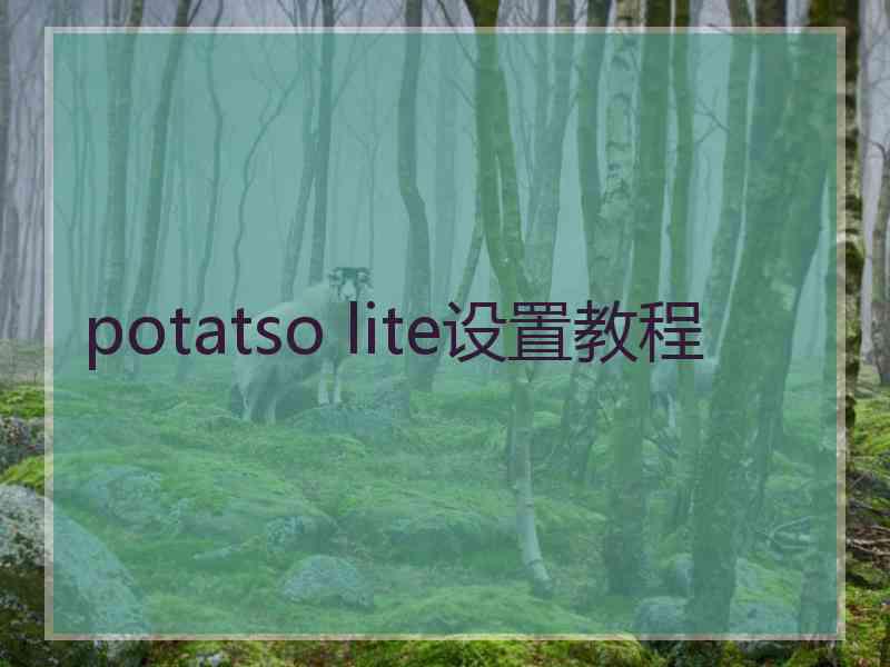 potatso lite设置教程