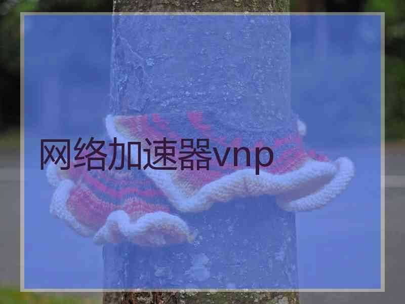 网络加速器vnp