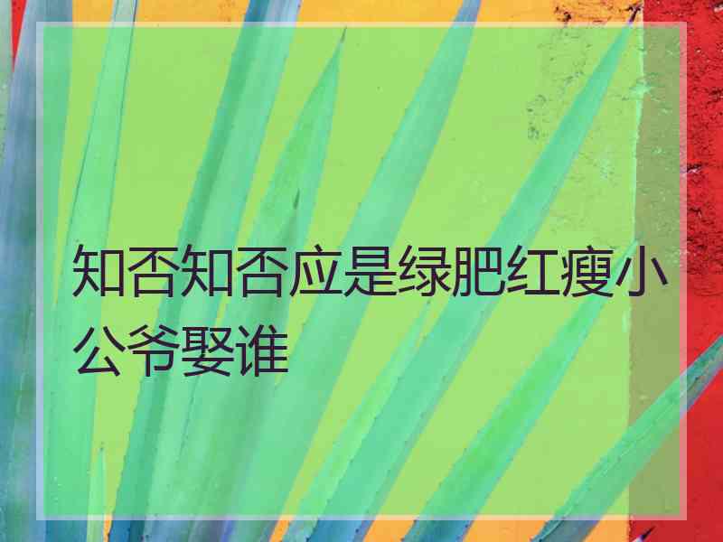 知否知否应是绿肥红瘦小公爷娶谁