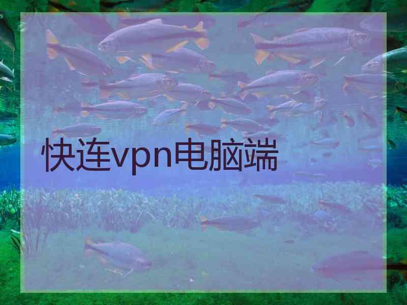 快连vpn电脑端