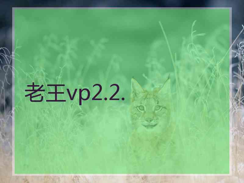 老王vp2.2.