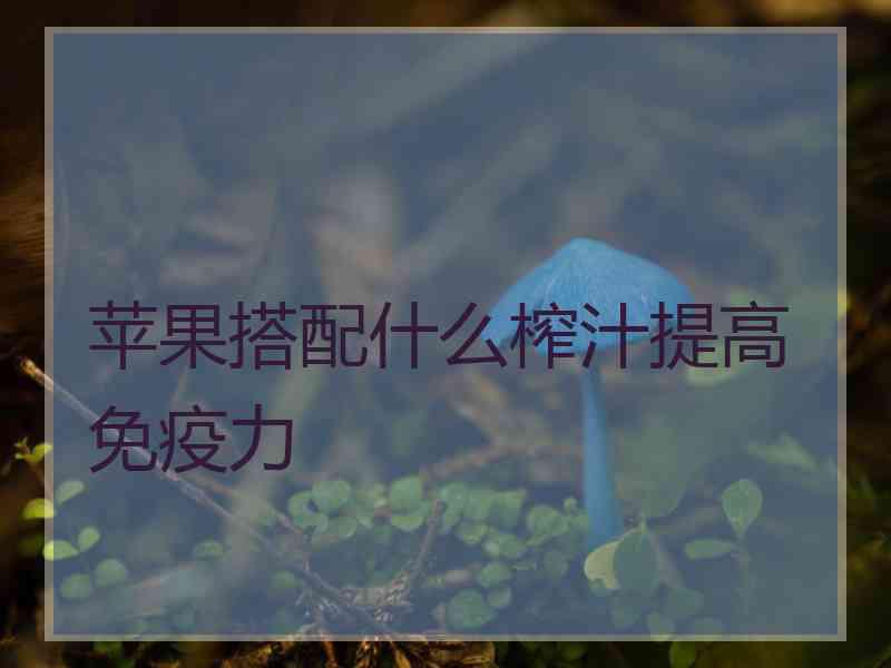 苹果搭配什么榨汁提高免疫力