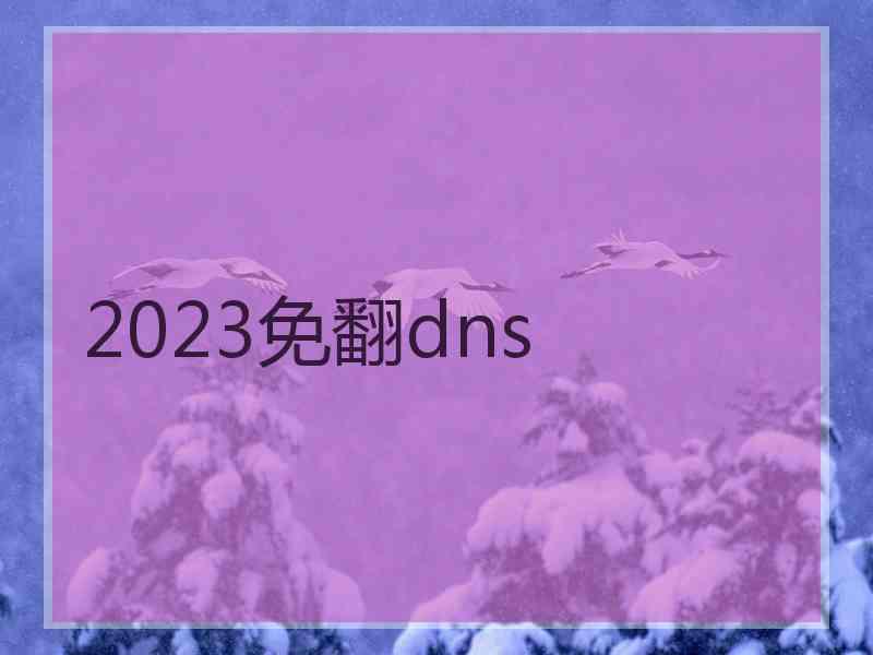 2023免翻dns