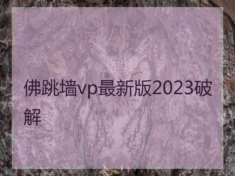 佛跳墙vp最新版2023破解