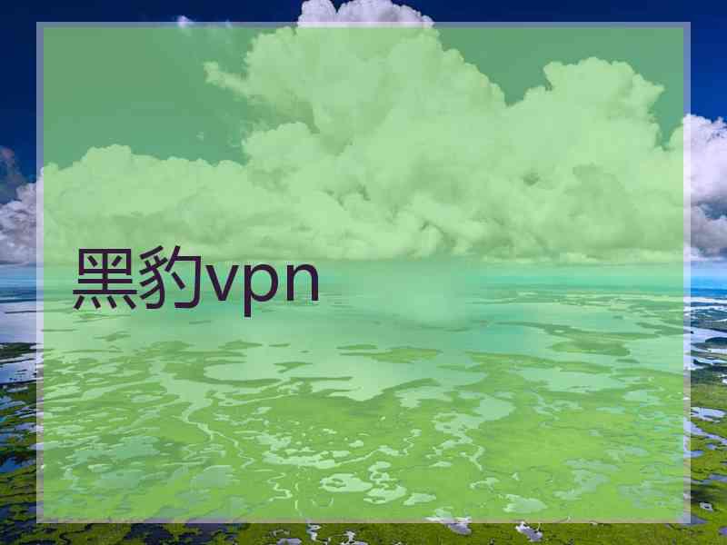 黑豹vpn