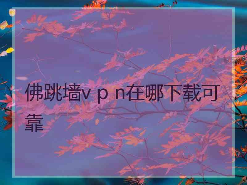 佛跳墙v p n在哪下载可靠