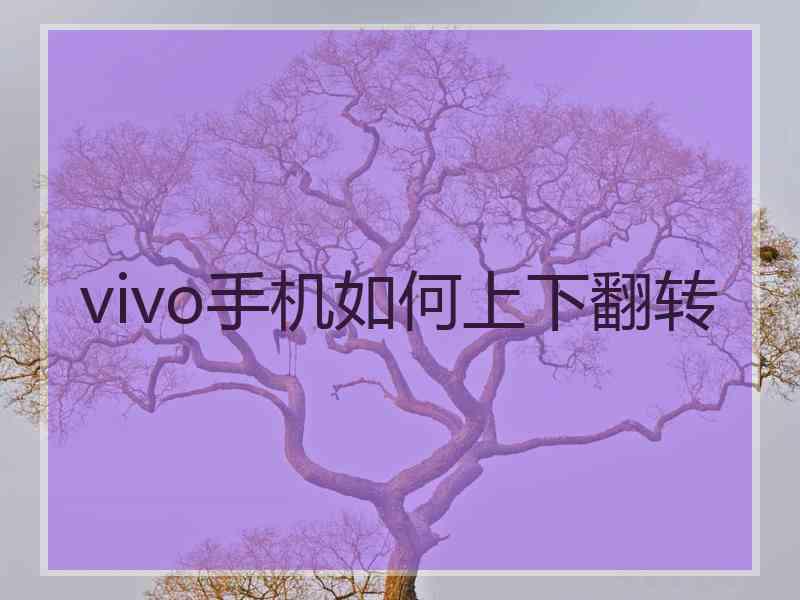 vivo手机如何上下翻转