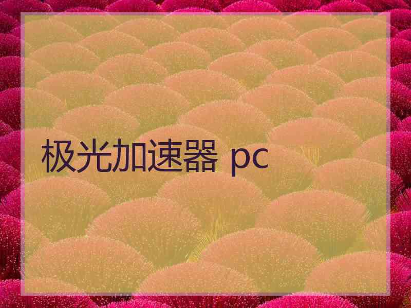 极光加速器 pc