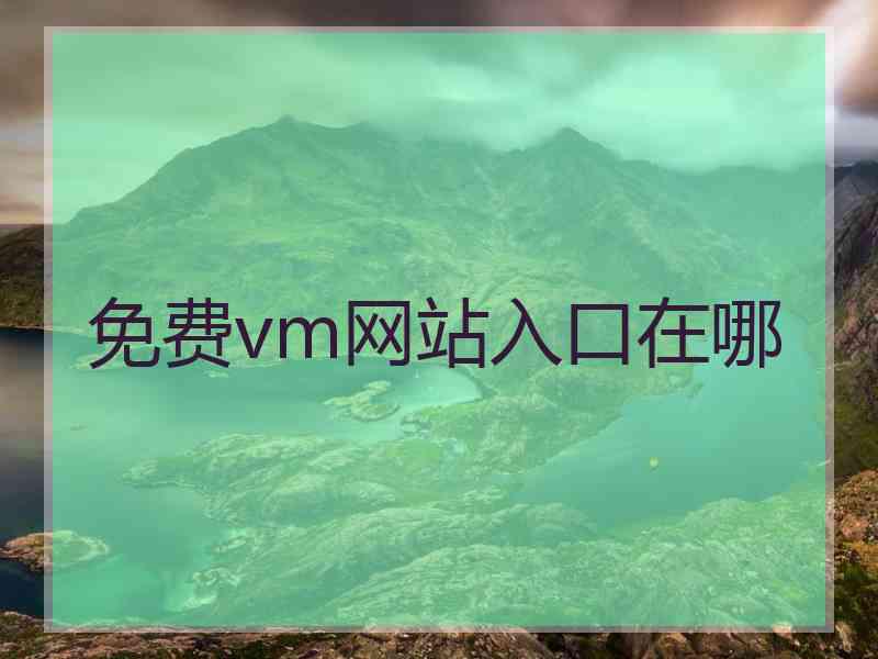 免费vm网站入口在哪