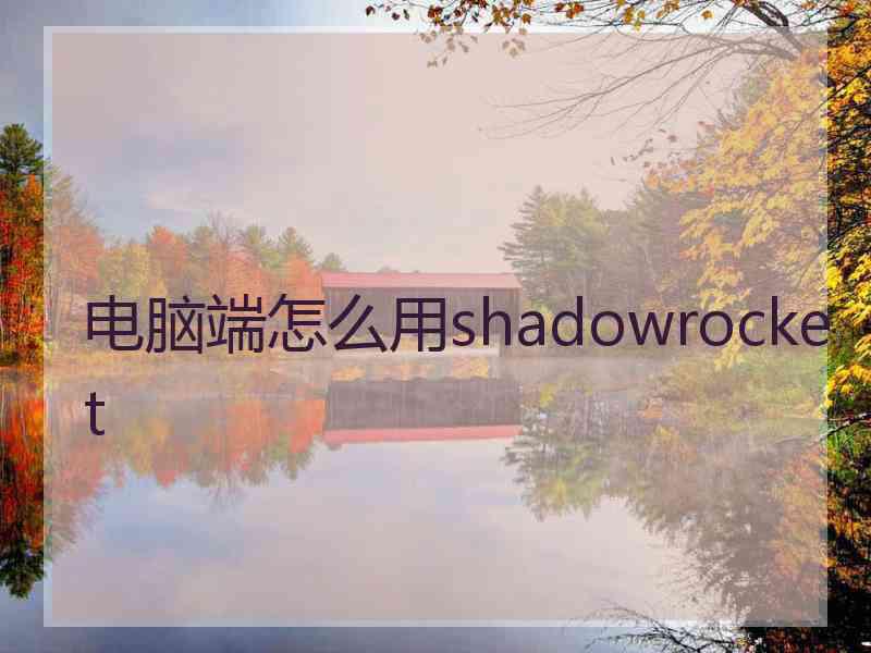 电脑端怎么用shadowrocket