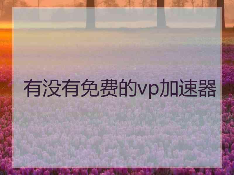 有没有免费的vp加速器