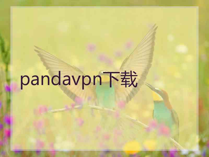 pandavpn下载