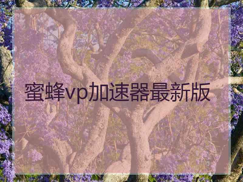 蜜蜂vp加速器最新版