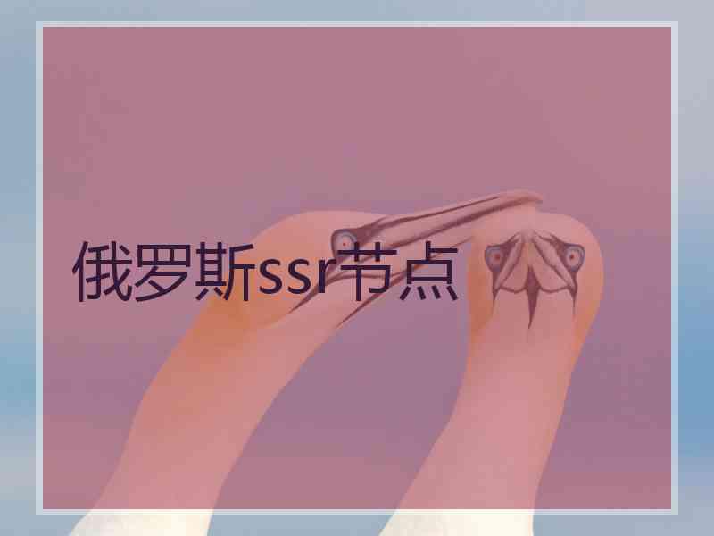 俄罗斯ssr节点