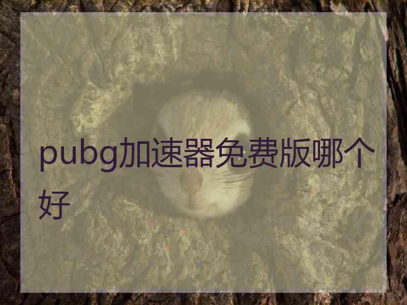 pubg加速器免费版哪个好