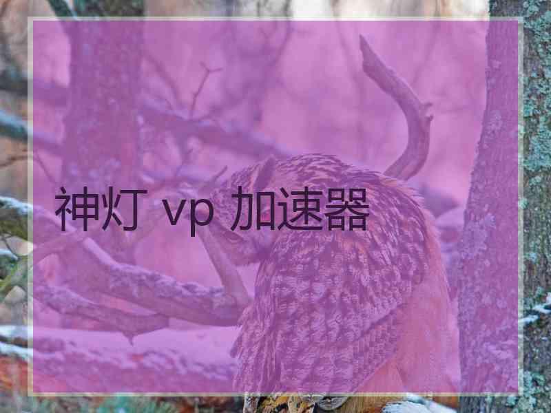 神灯 vp 加速器