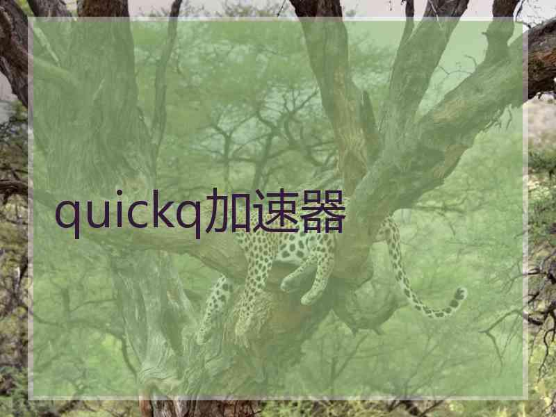 quickq加速器