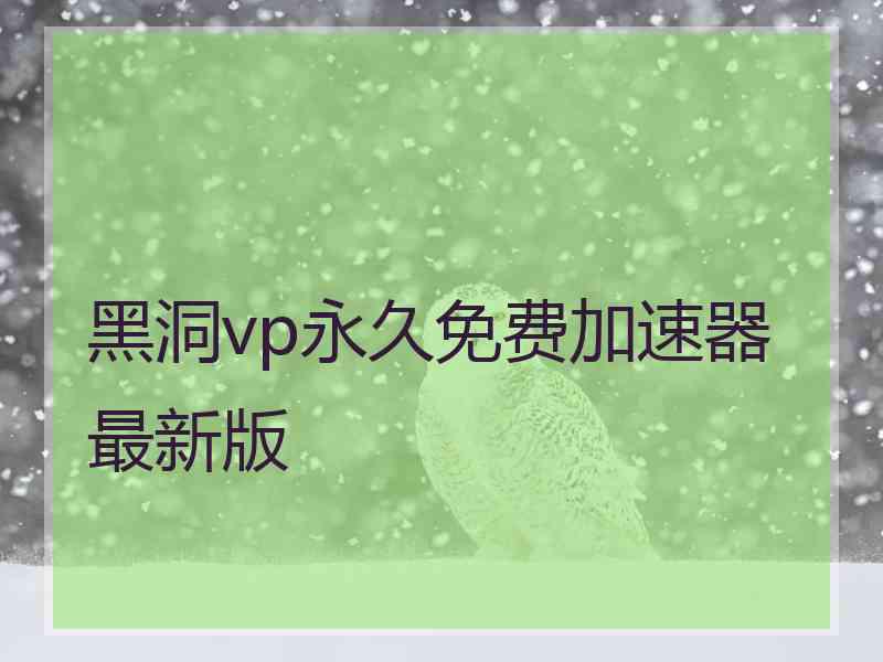 黑洞vp永久免费加速器最新版