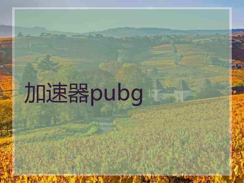 加速器pubg