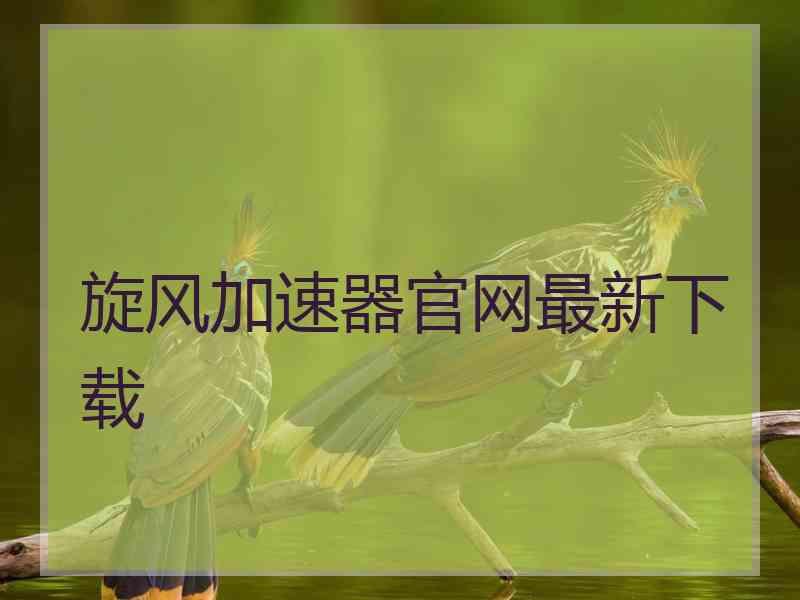 旋风加速器官网最新下载