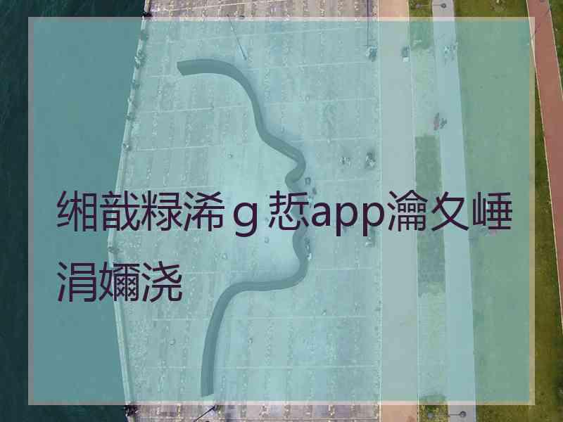 缃戠粶浠ｇ悊app瀹夊崜涓嬭浇