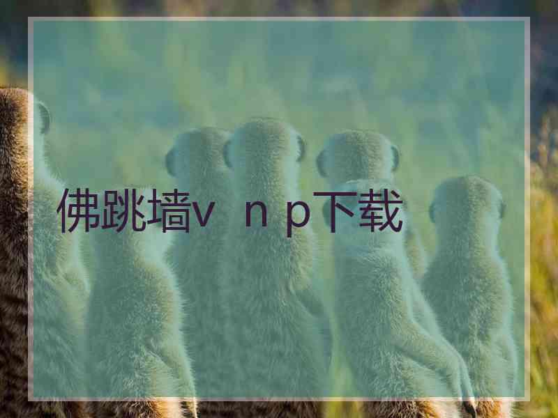 佛跳墙v  n p下载