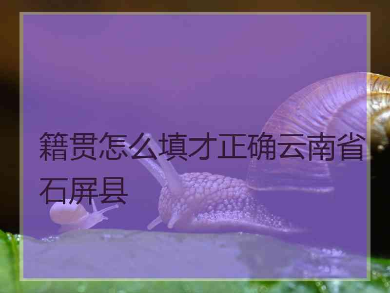 籍贯怎么填才正确云南省石屏县