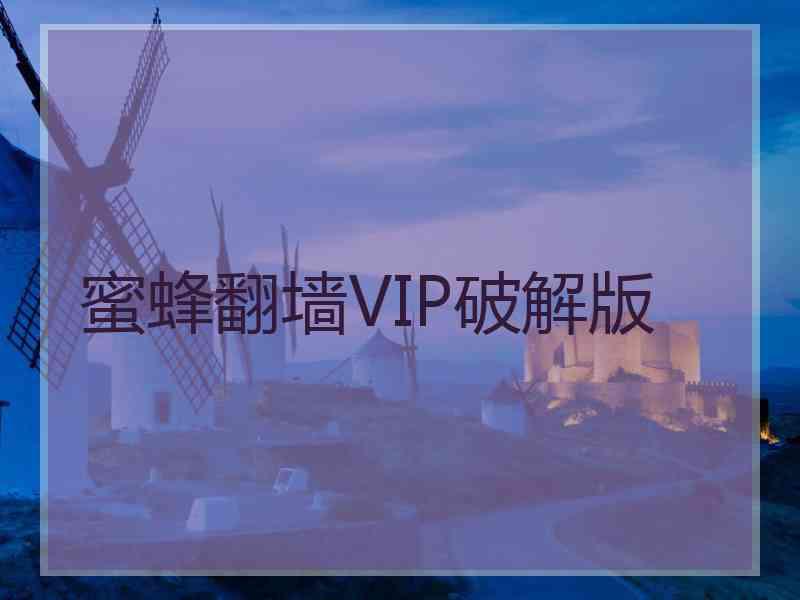 蜜蜂翻墙VIP破解版