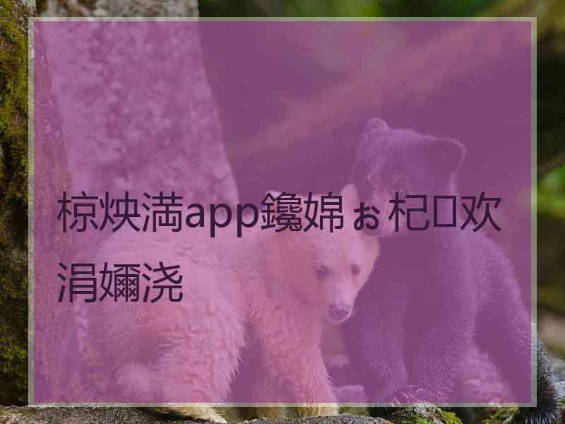 椋炴満app鑱婂ぉ杞欢涓嬭浇