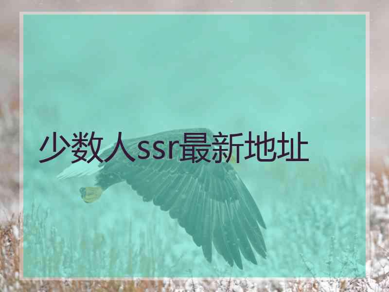 少数人ssr最新地址