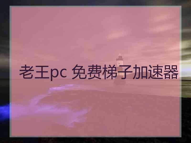 老王pc 免费梯子加速器