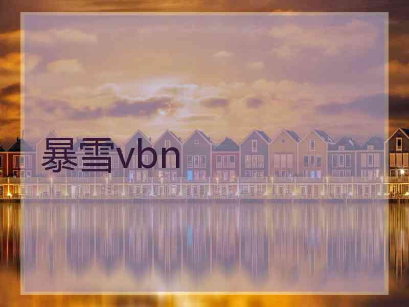 暴雪vbn