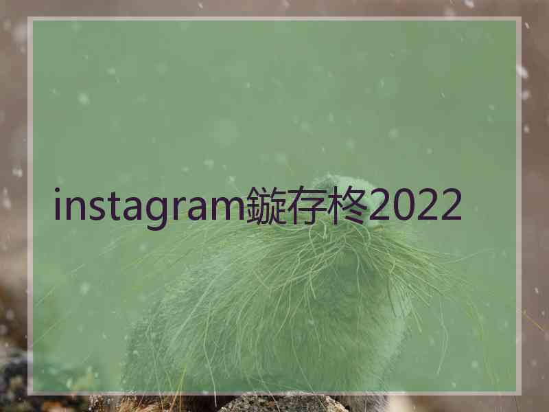 instagram鏇存柊2022