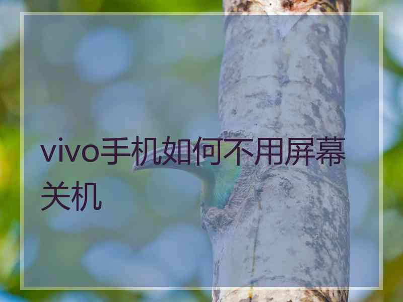 vivo手机如何不用屏幕关机