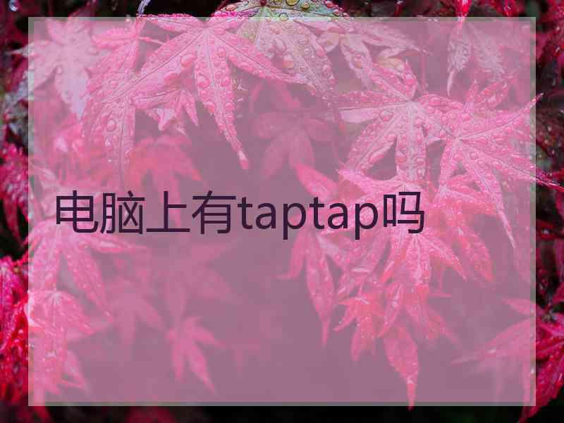 电脑上有taptap吗